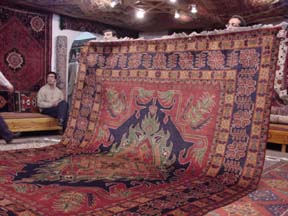 Carpet Showroom
