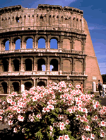 Roman Forum