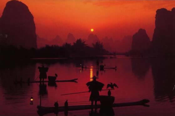 Li River Fisherman