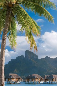 Four Seasons Resort Bora Bora Living