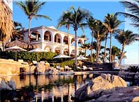Palmilla