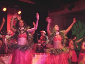 Tahitian Dancer Grass Skt